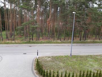 Фото номера Апартаменты Апартаменты Villa Leśna г. Mosty 5